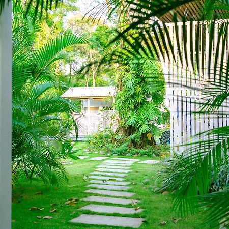 Olivia Del Caribe Suite Puerto Viejo de Talamanca ภายนอก รูปภาพ