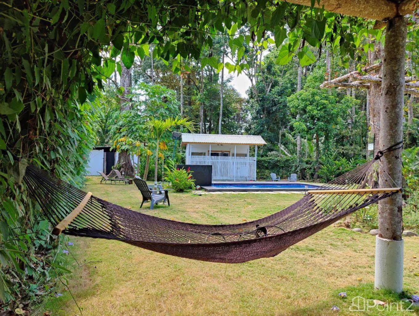Olivia Del Caribe Suite Puerto Viejo de Talamanca ภายนอก รูปภาพ