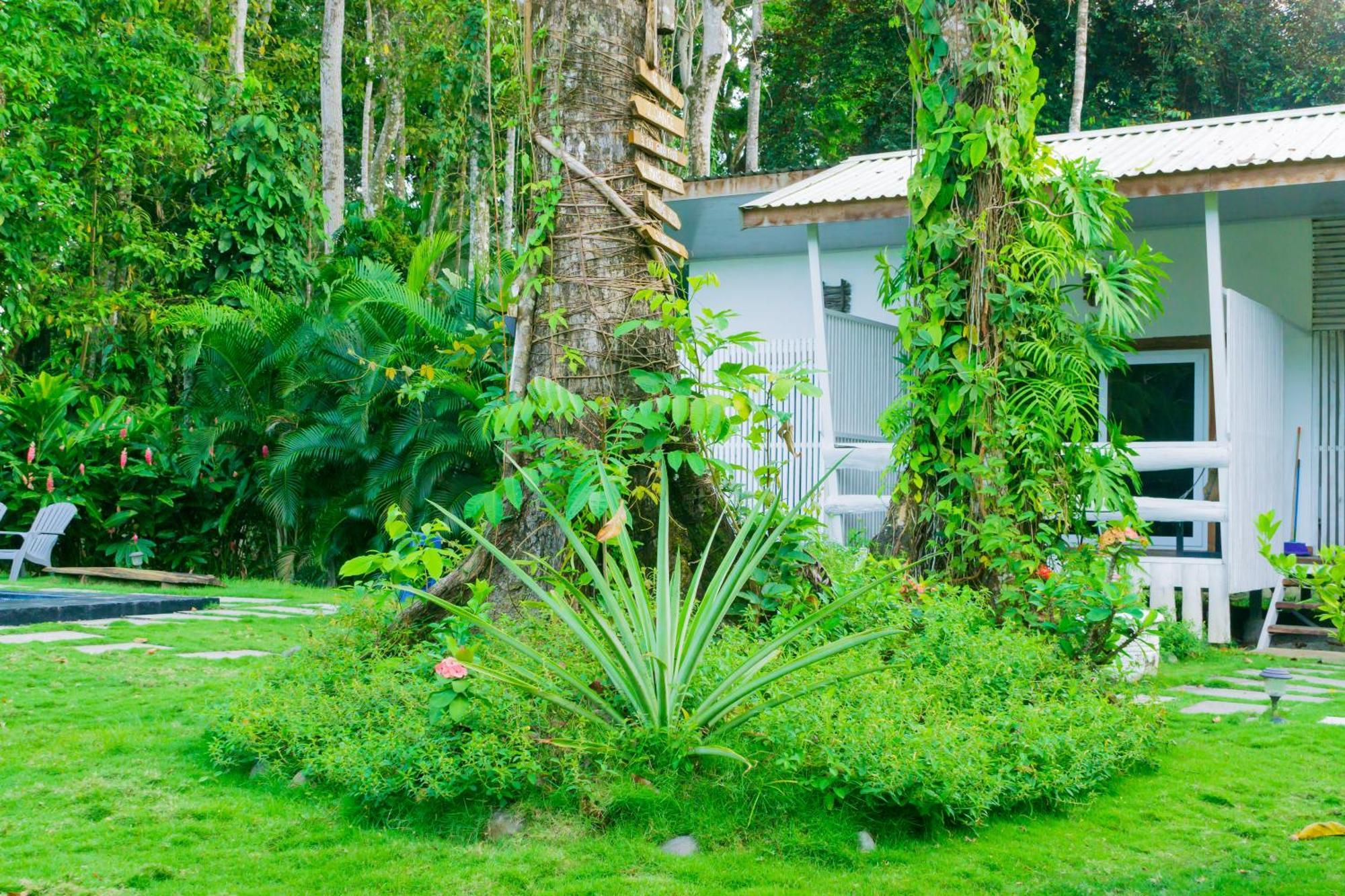 Olivia Del Caribe Suite Puerto Viejo de Talamanca ภายนอก รูปภาพ