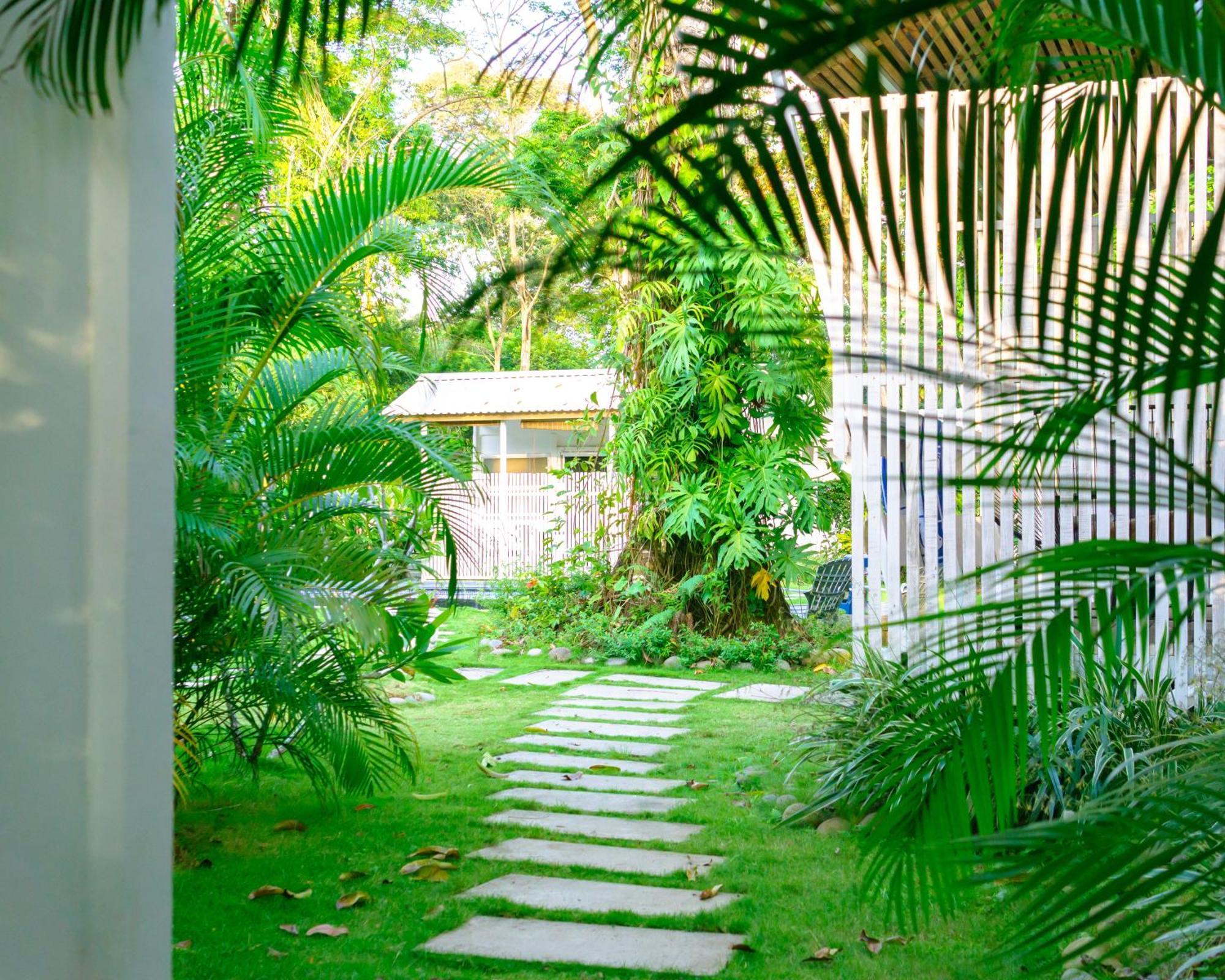 Olivia Del Caribe Suite Puerto Viejo de Talamanca ภายนอก รูปภาพ