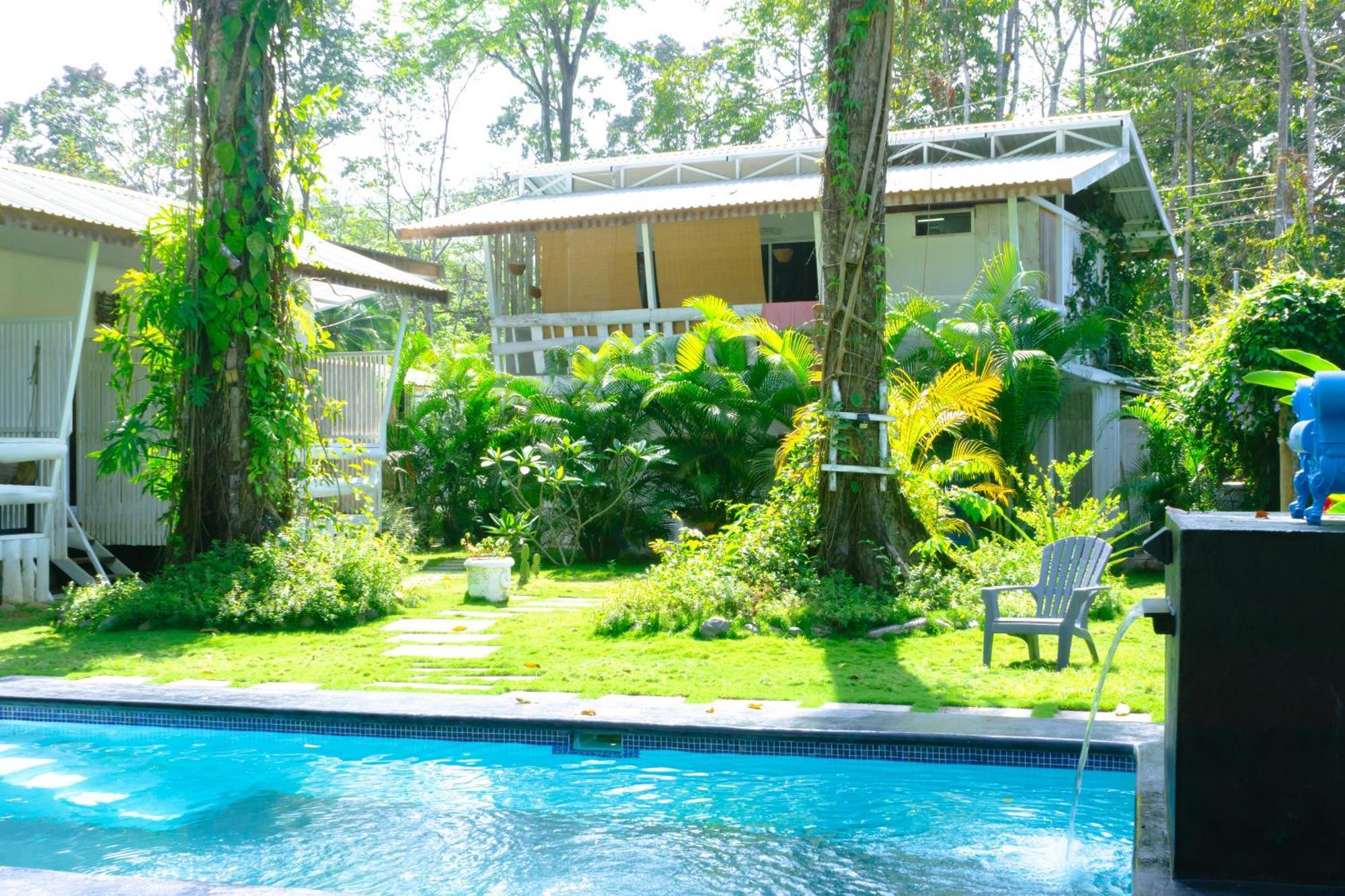 Olivia Del Caribe Suite Puerto Viejo de Talamanca ภายนอก รูปภาพ