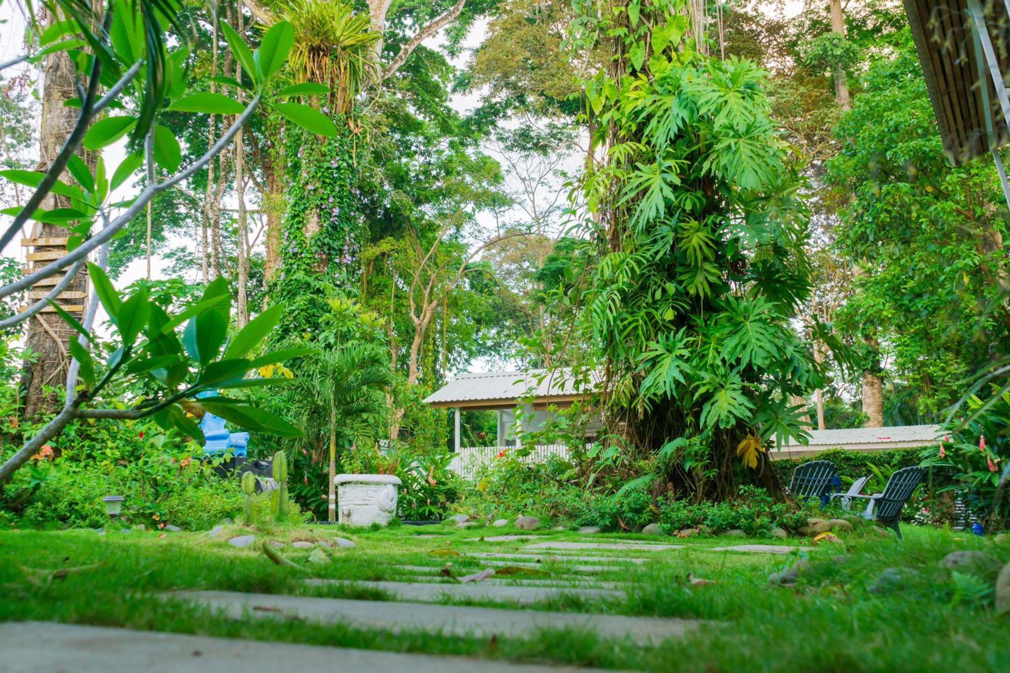 Olivia Del Caribe Suite Puerto Viejo de Talamanca ภายนอก รูปภาพ