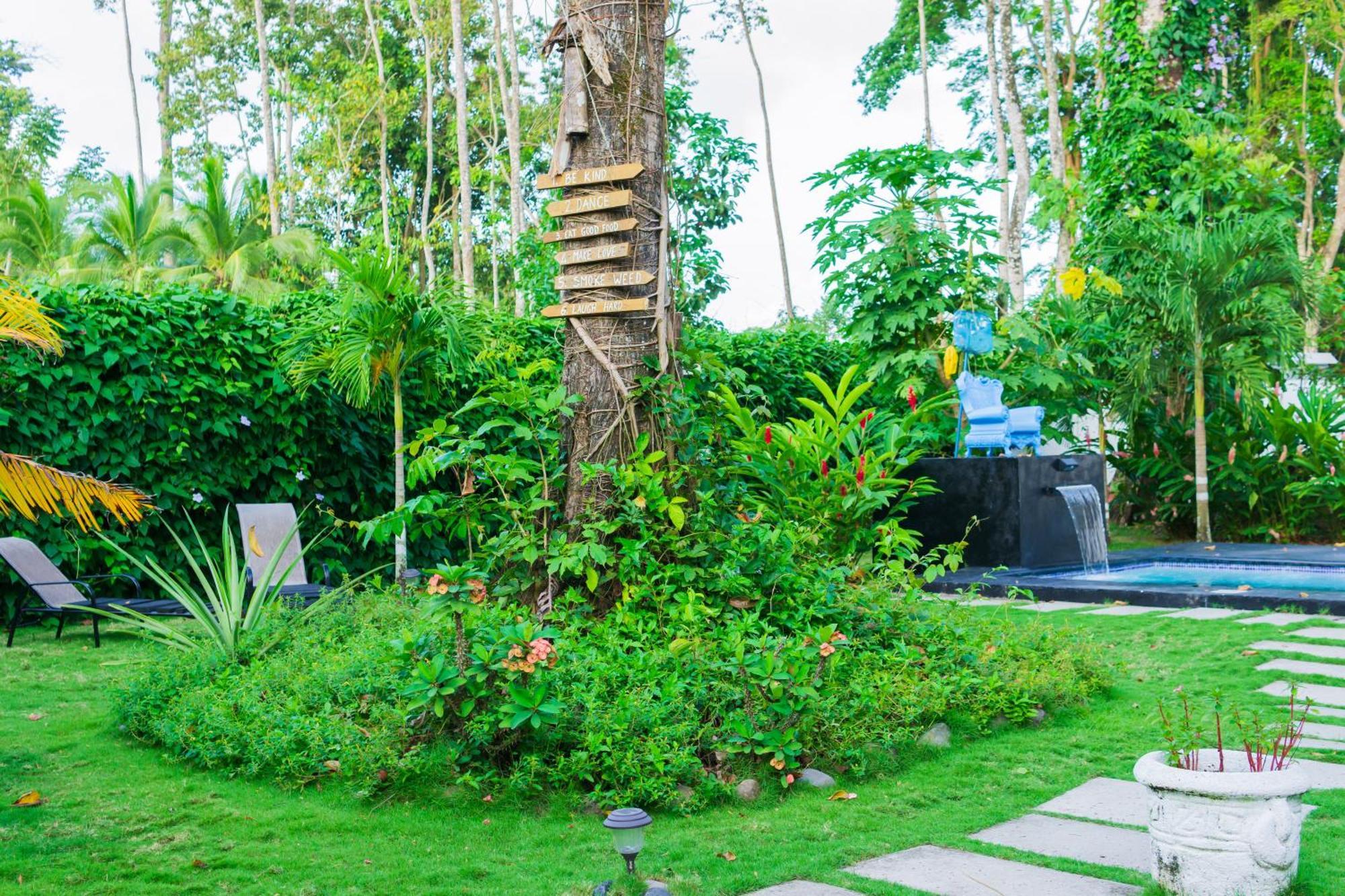 Olivia Del Caribe Suite Puerto Viejo de Talamanca ภายนอก รูปภาพ