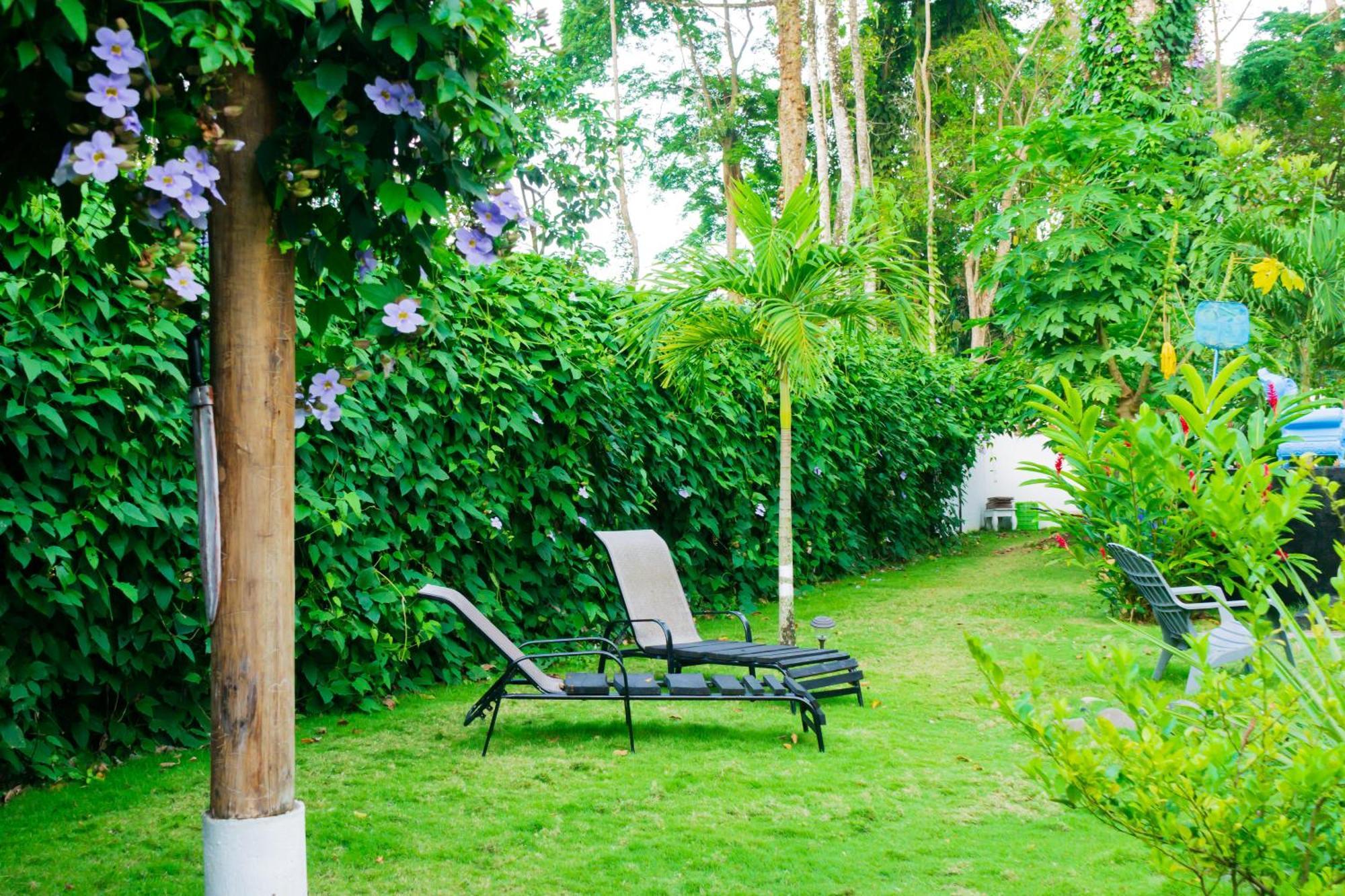 Olivia Del Caribe Suite Puerto Viejo de Talamanca ภายนอก รูปภาพ