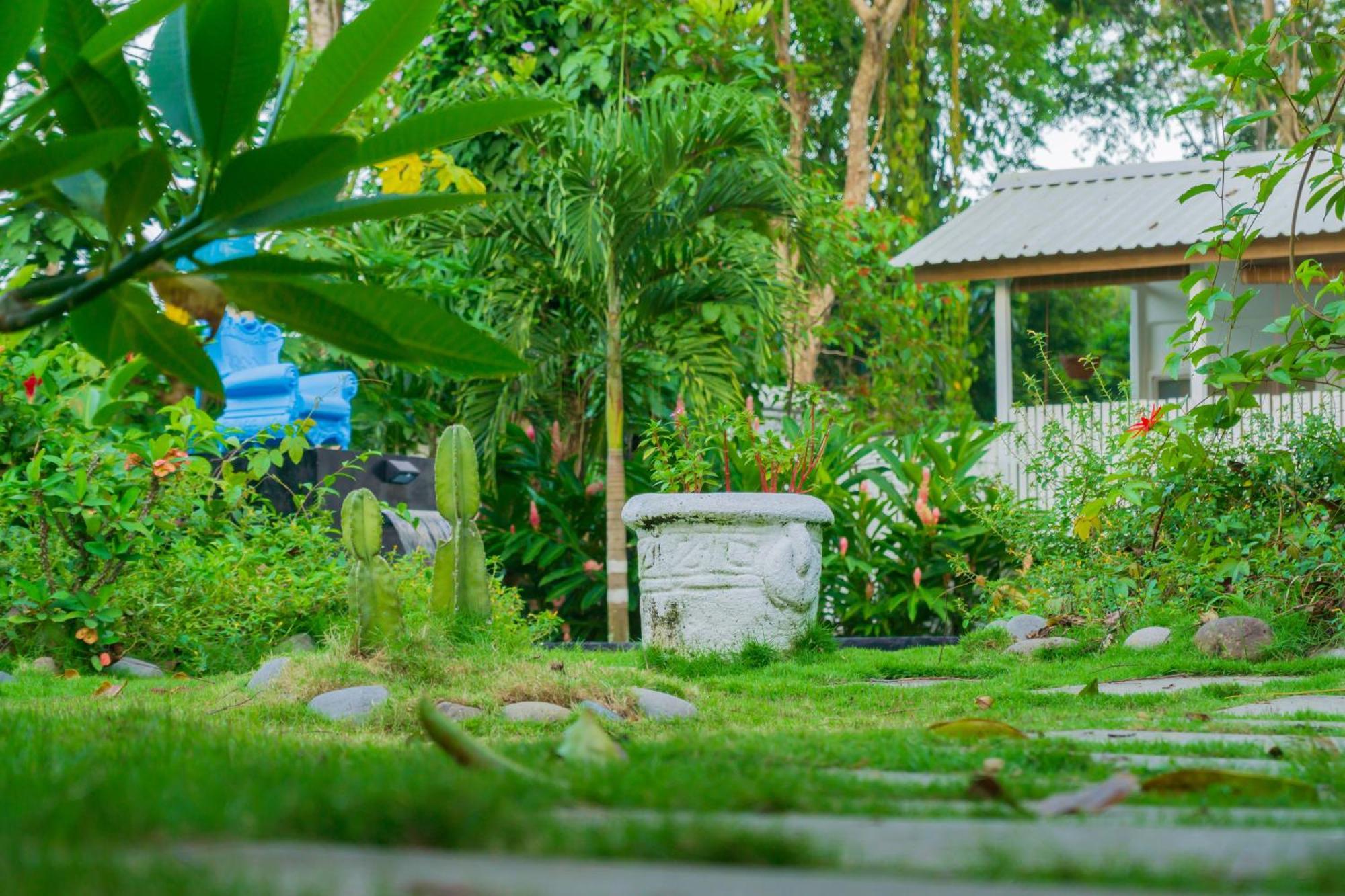 Olivia Del Caribe Suite Puerto Viejo de Talamanca ภายนอก รูปภาพ